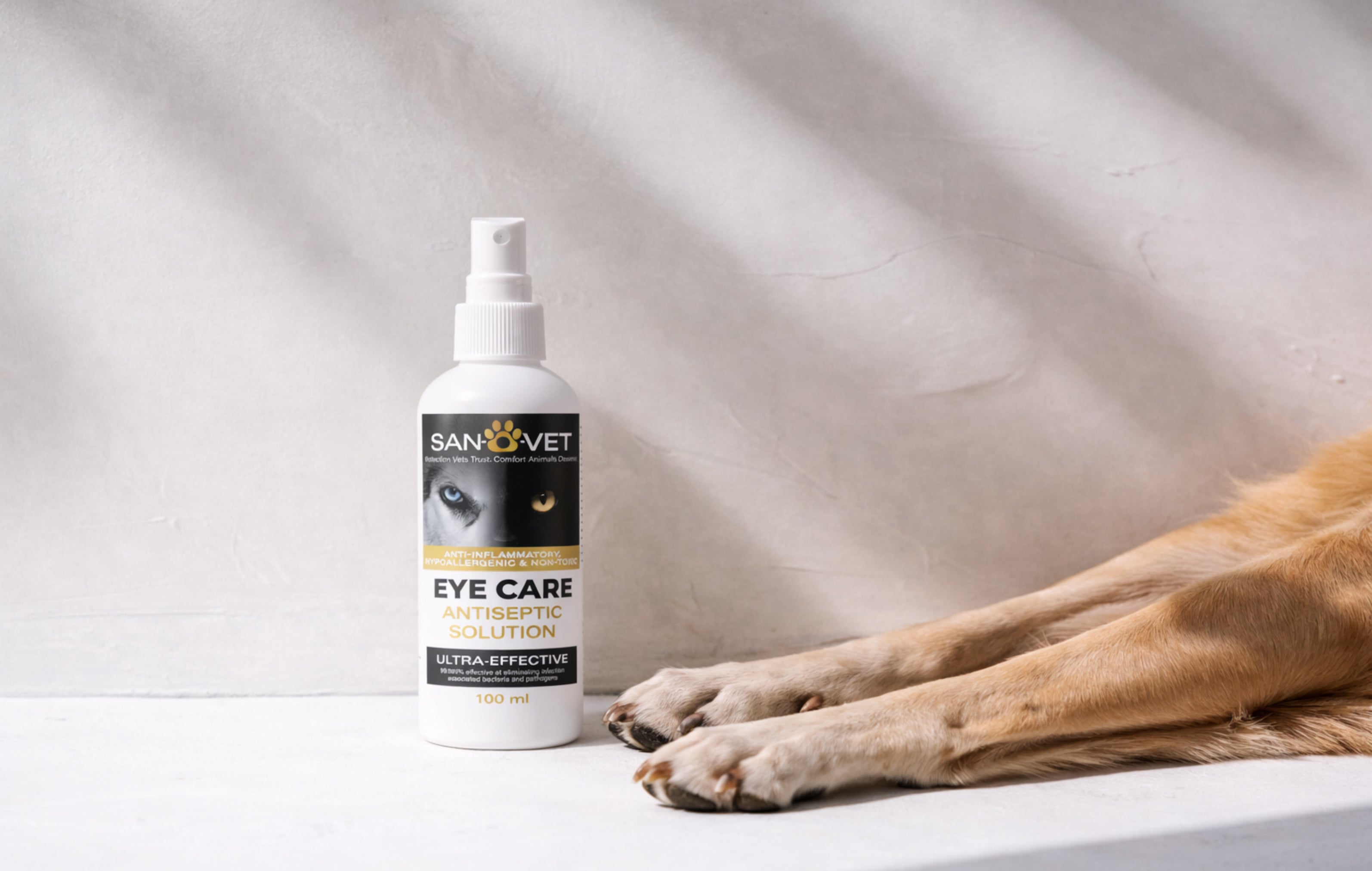 Dust, Wind, and Allergies: Why Your Pet’s Eyes Need Extra Care