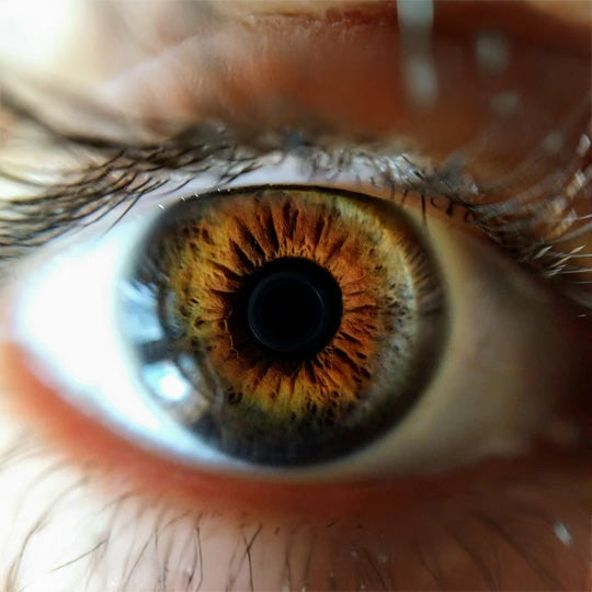 Rediscover Comfort and Hydration with San-Ocular: The Natural Solution for Dry, Irritated Eyelids