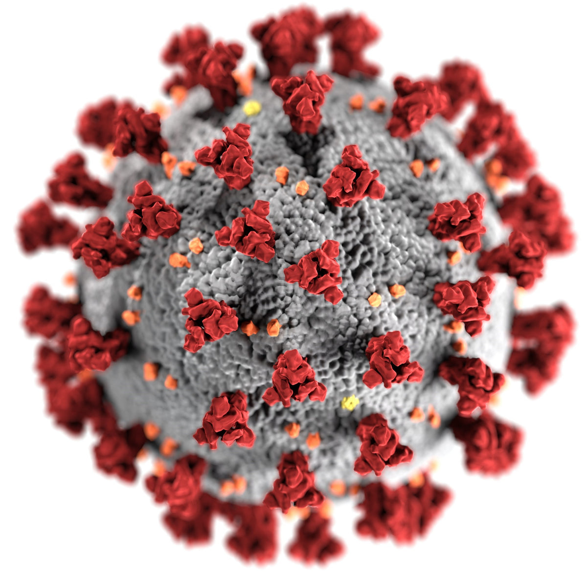 Monkey Pox Virus Contagious Viral Infection News Global Sick Illness Prevention Safe Anti-viral Anti-bacterial Immune Cells Boost Natural Disinfectant Sanitise Hypochlorous Solution Eco-friendly Family Halaal SanOT Online South Africa